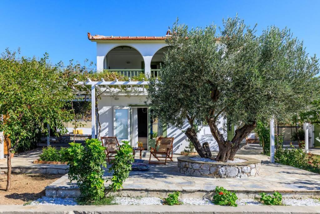 Nina-Myrtia Countryside House Skopelos Ditropo Exterior foto